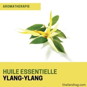 Bienfaits huiles essentielles bio Ylang Ylang