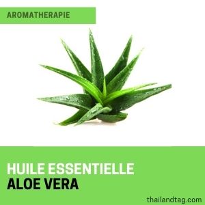 Bienfaits huile essentielle bio Aloe Vera