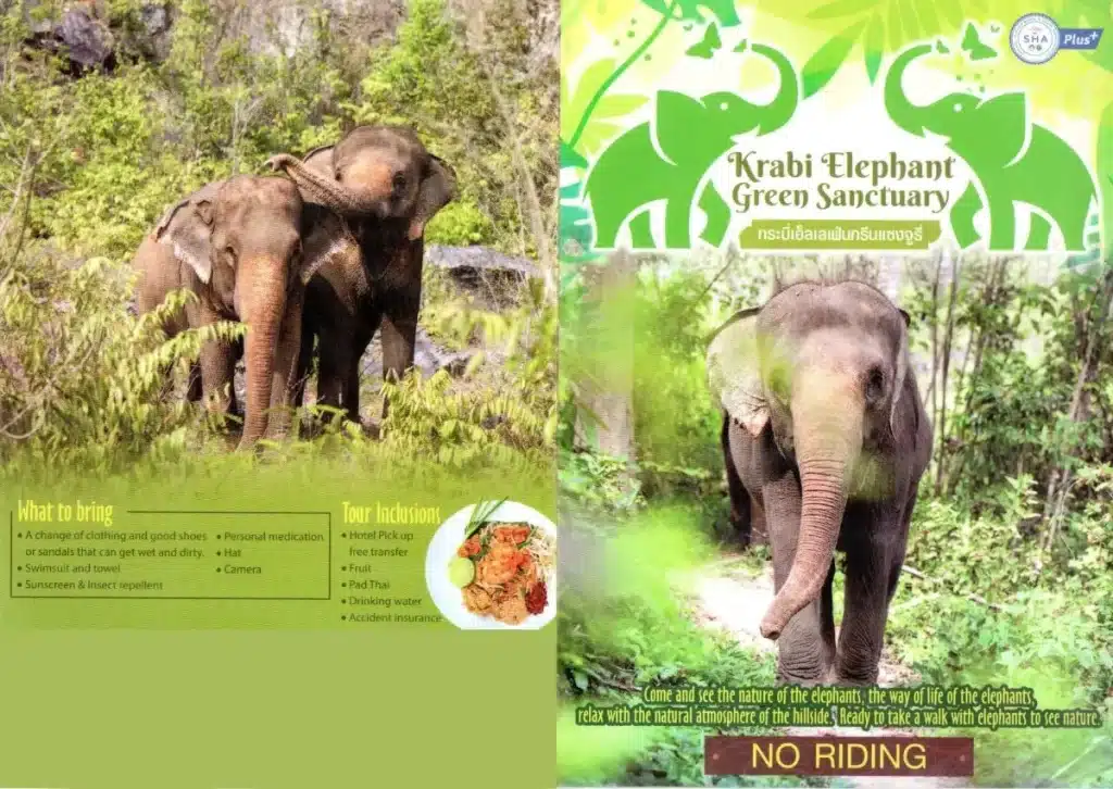 sanctuaire elephant ao nang