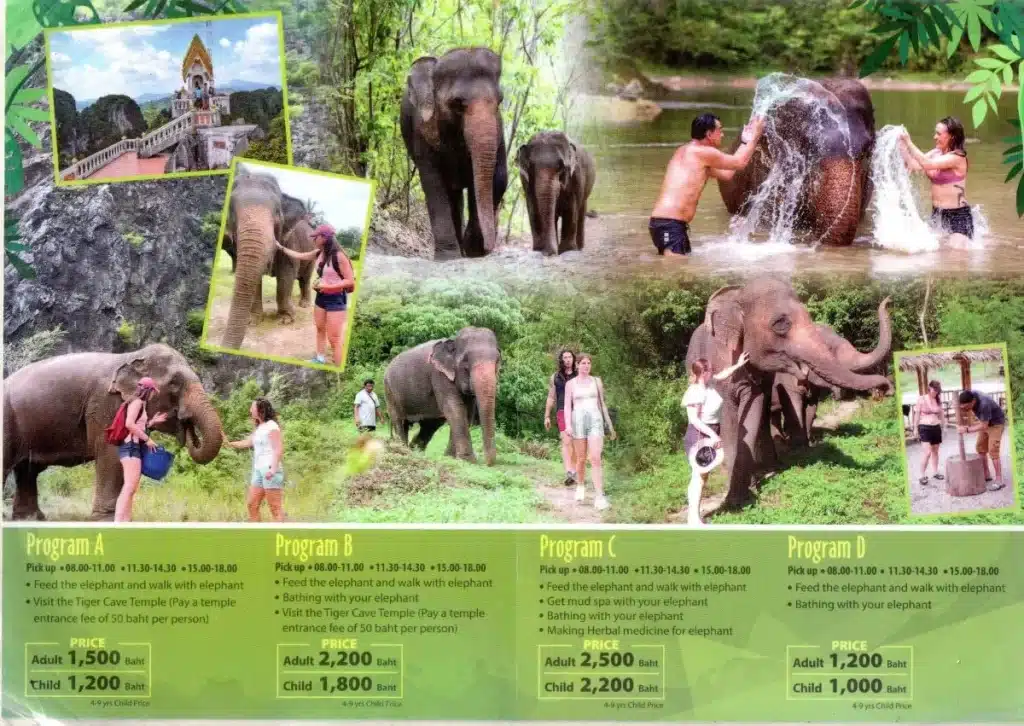 sanctuaire élephant krabi programme