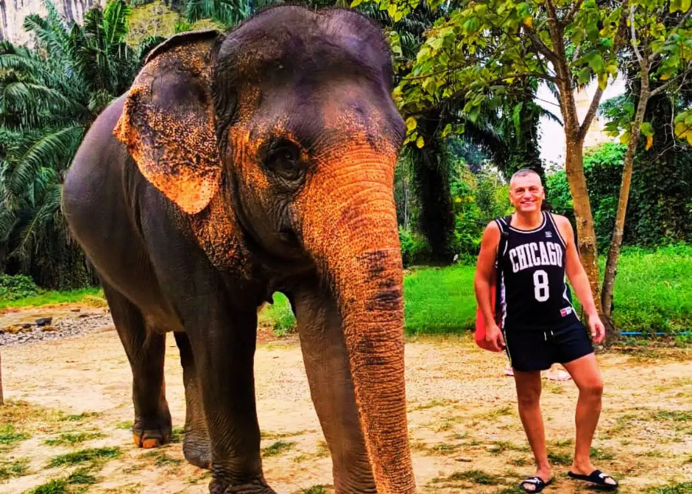 sanctuaire elephant krabi