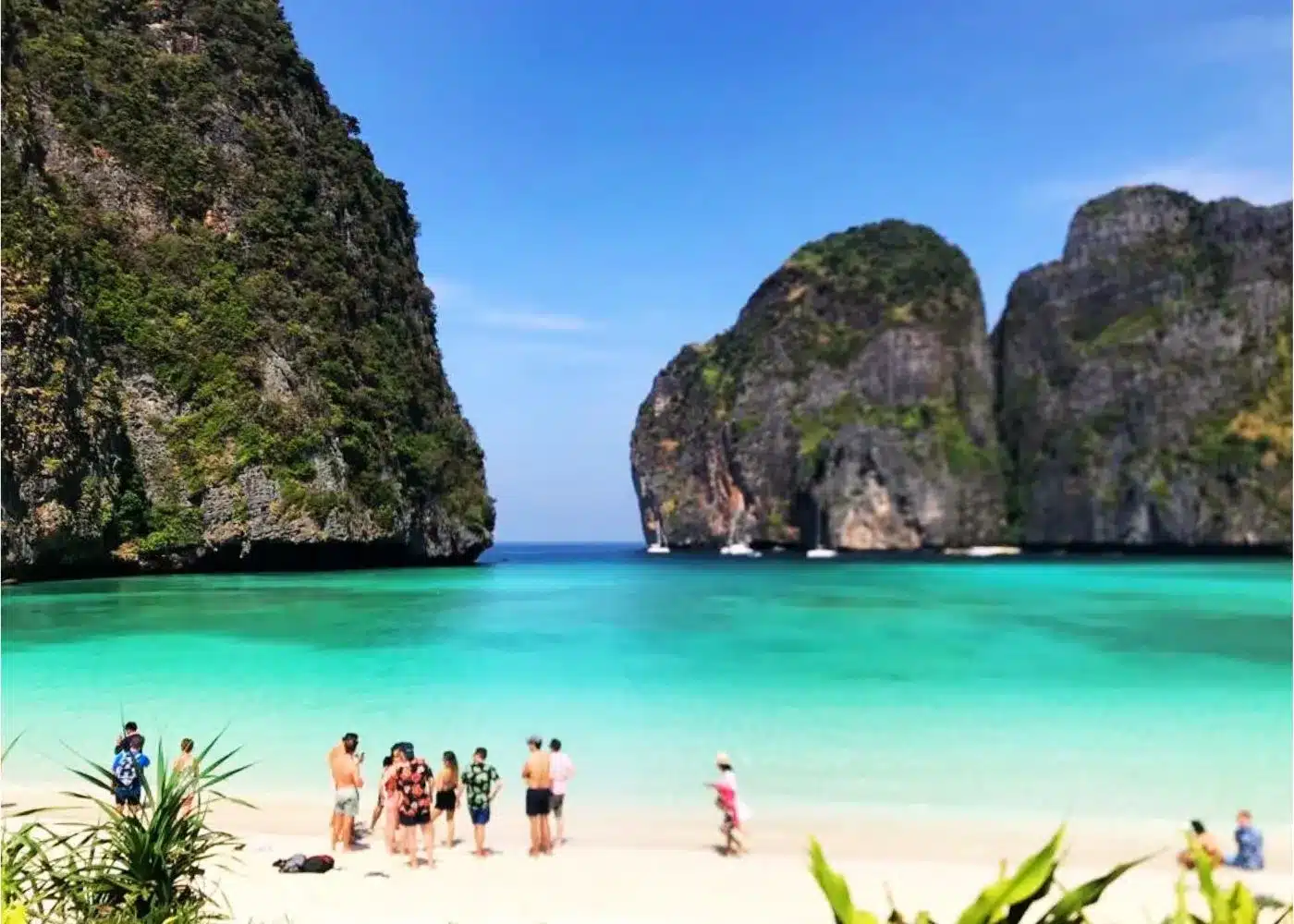 tour phi phi krabi speed boat