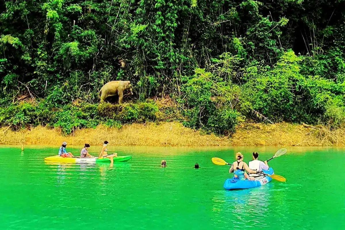 Excursion Khao Sok Faune