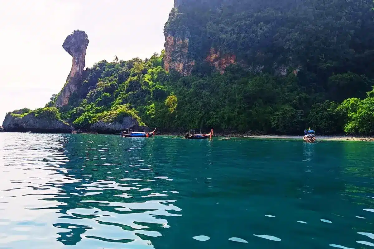 Excursion 4 Islands Chicken Island
