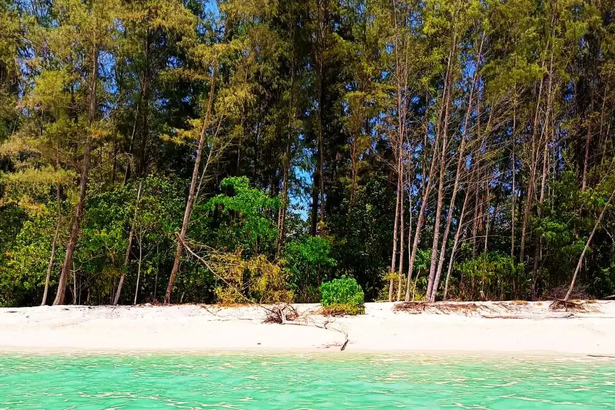 excursion privée four island krabi poda island