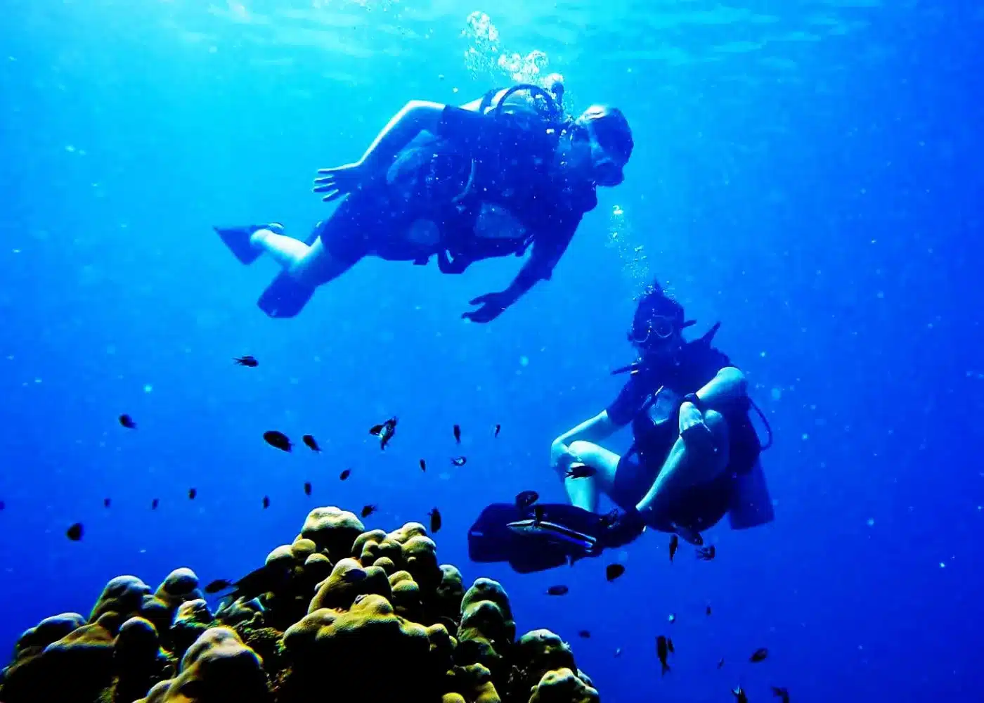 plongée Krabi Ao Nang - corail et poissons colorés