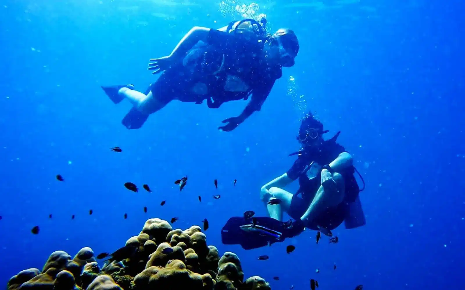 Baptême de plongée à Krabi pour débutants avec instructeur depuis Ao Nang