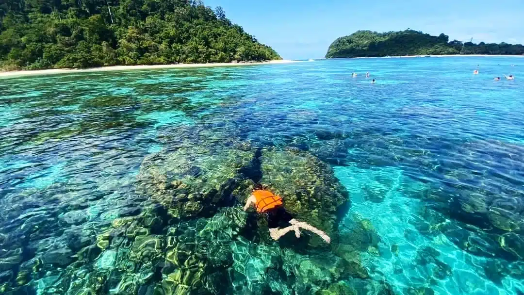 Voyageur faisant du snorkeling au-dessus des récifs dans les eaux turquoise de Koh Rok